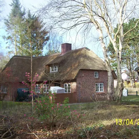 Haus Amrhein * Nebel